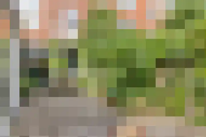 Professor Rankestraat 39 Groningen thumbnail 40