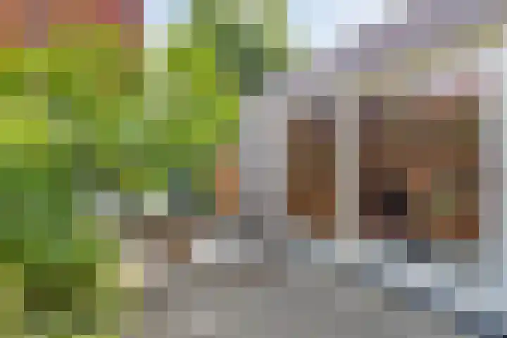 Professor Rankestraat 39 Groningen thumbnail 41