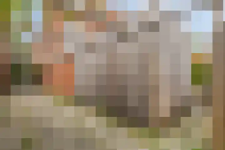 Professor Rankestraat 39 Groningen thumbnail 42