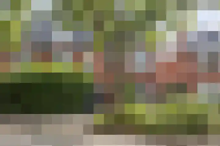 Professor Rankestraat 39 Groningen thumbnail 5