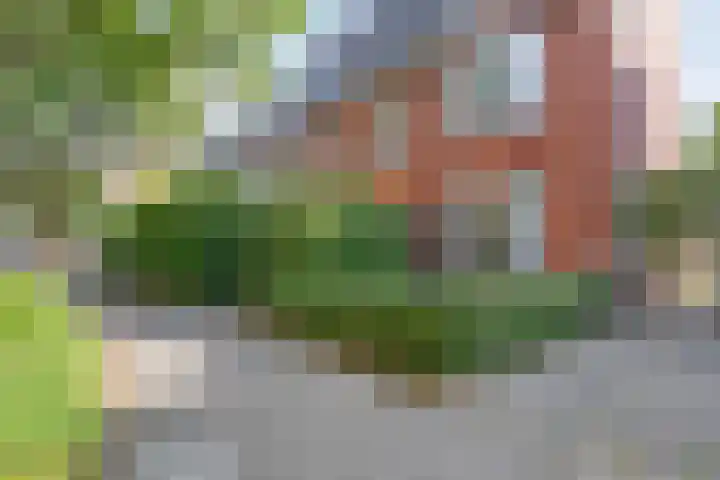 Professor Rankestraat 39 Groningen thumbnail 6