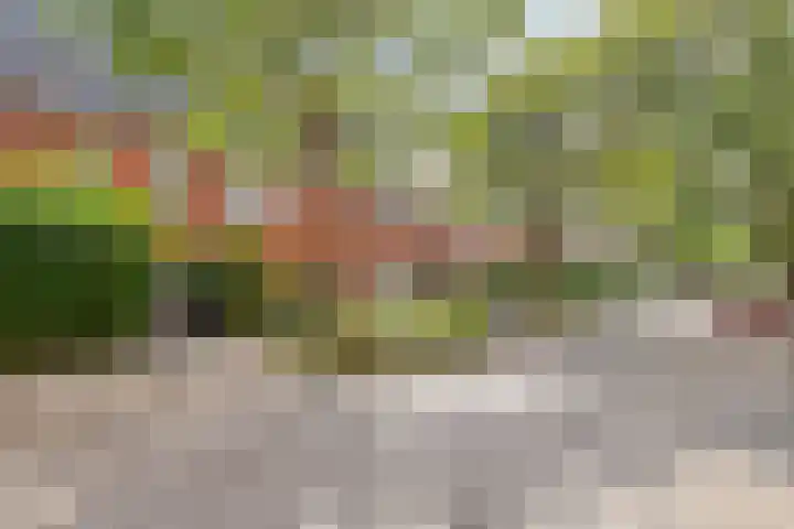 Professor Rankestraat 39 Groningen thumbnail 7