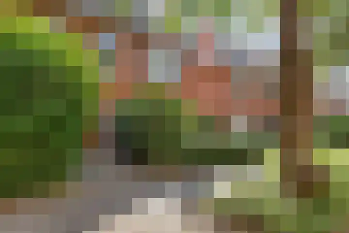 Professor Rankestraat 39 Groningen thumbnail 8
