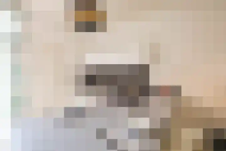 Professor Rankestraat 49 Groningen thumbnail 11
