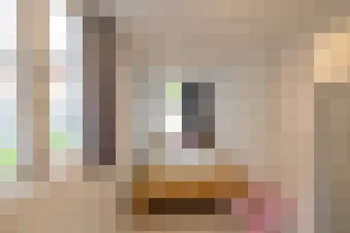 Professor Rankestraat 49 Groningen thumbnail 15