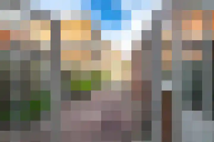 Professor Rankestraat 49 Groningen thumbnail 20