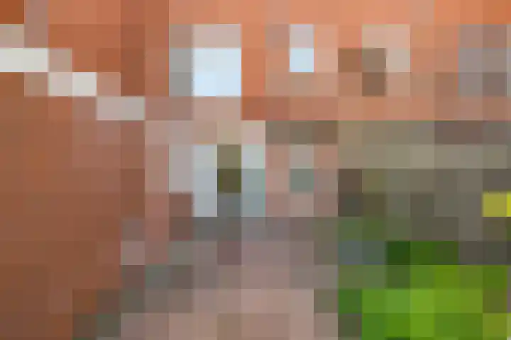 Professor Rankestraat 49 Groningen thumbnail 22