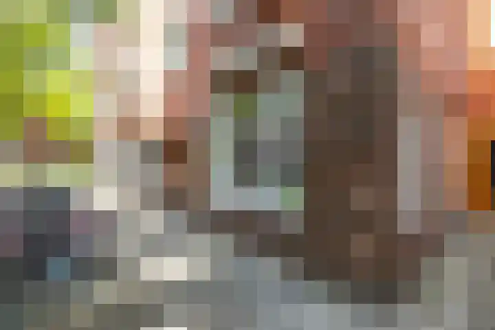 Professor Rankestraat 49 Groningen thumbnail 23