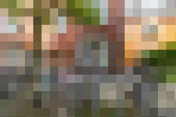 Professor Rankestraat 49 Groningen thumbnail 24