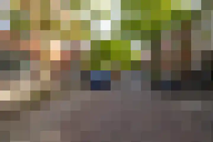 Professor Rankestraat 49 Groningen thumbnail 25