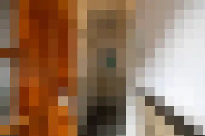 Professor Rankestraat 49 Groningen thumbnail 5