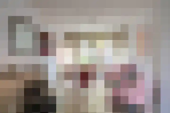 Professor Rankestraat 49 Groningen thumbnail 7