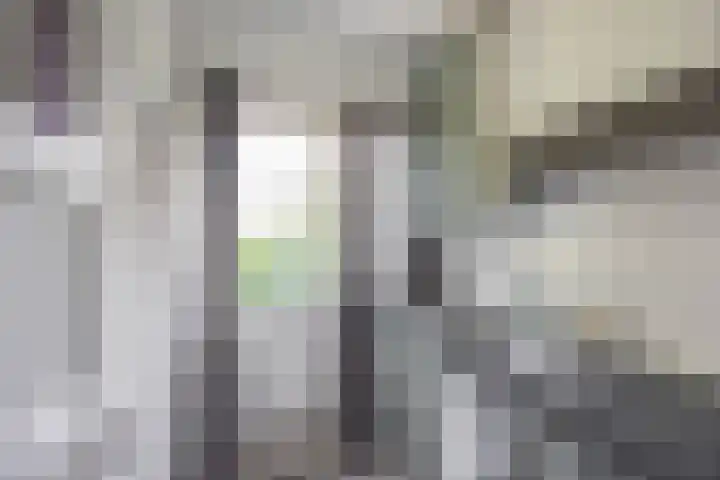 Professor Rankestraat 9 a Groningen thumbnail 17