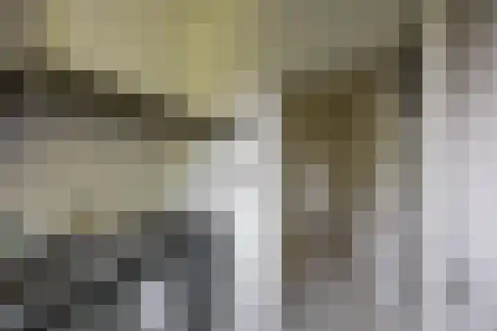 Professor Rankestraat 9 a Groningen thumbnail 19