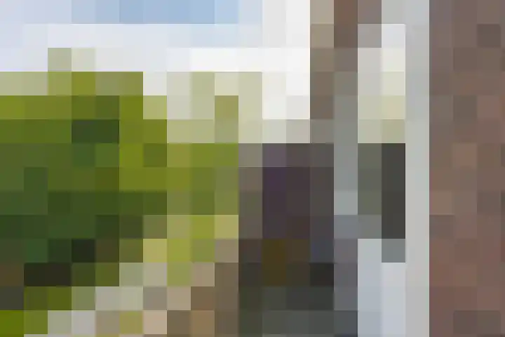 Professor Rankestraat 9 a Groningen thumbnail 23