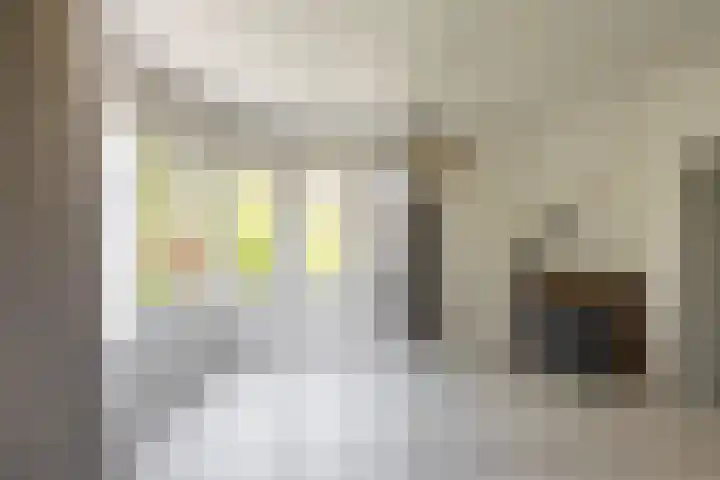 Professor Rankestraat 9 a Groningen thumbnail 28