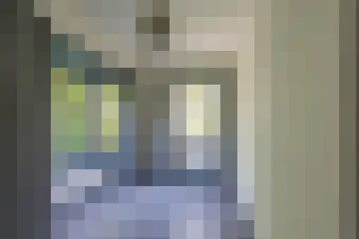 Professor Rankestraat 9 a Groningen thumbnail 34