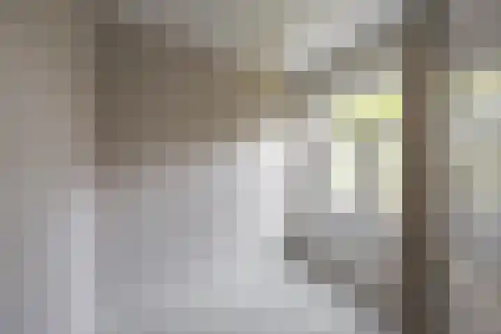 Professor Rankestraat 9 a Groningen thumbnail 4