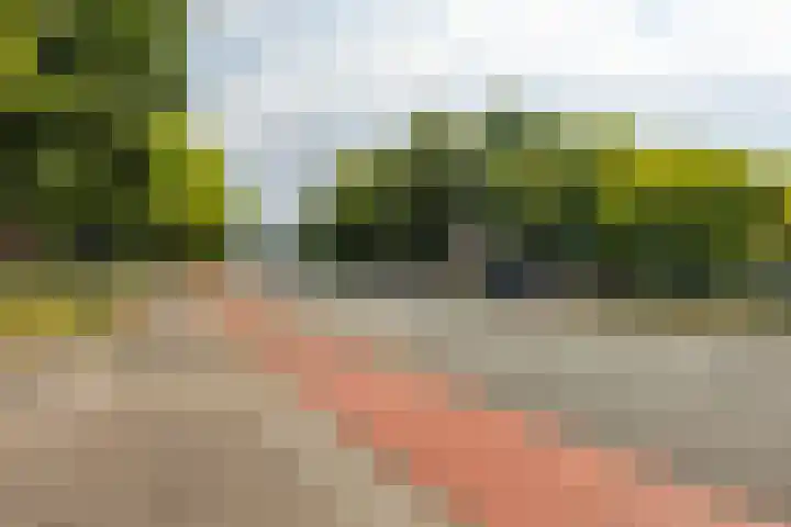 Professor Rankestraat 9 a Groningen thumbnail 7
