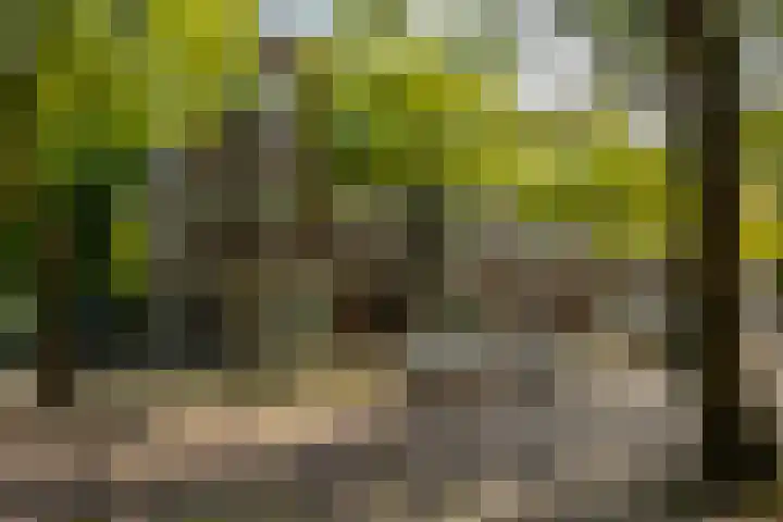 Professor Rankestraat 9 a Groningen thumbnail 9