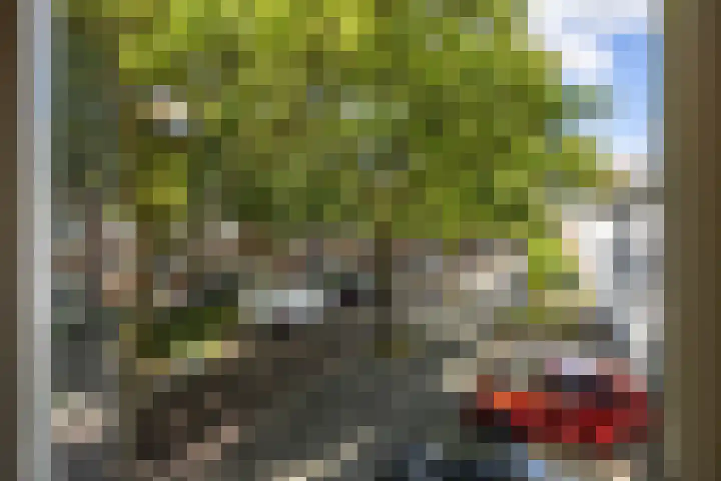 Professor Rankestraat 9 b Groningen thumbnail 12