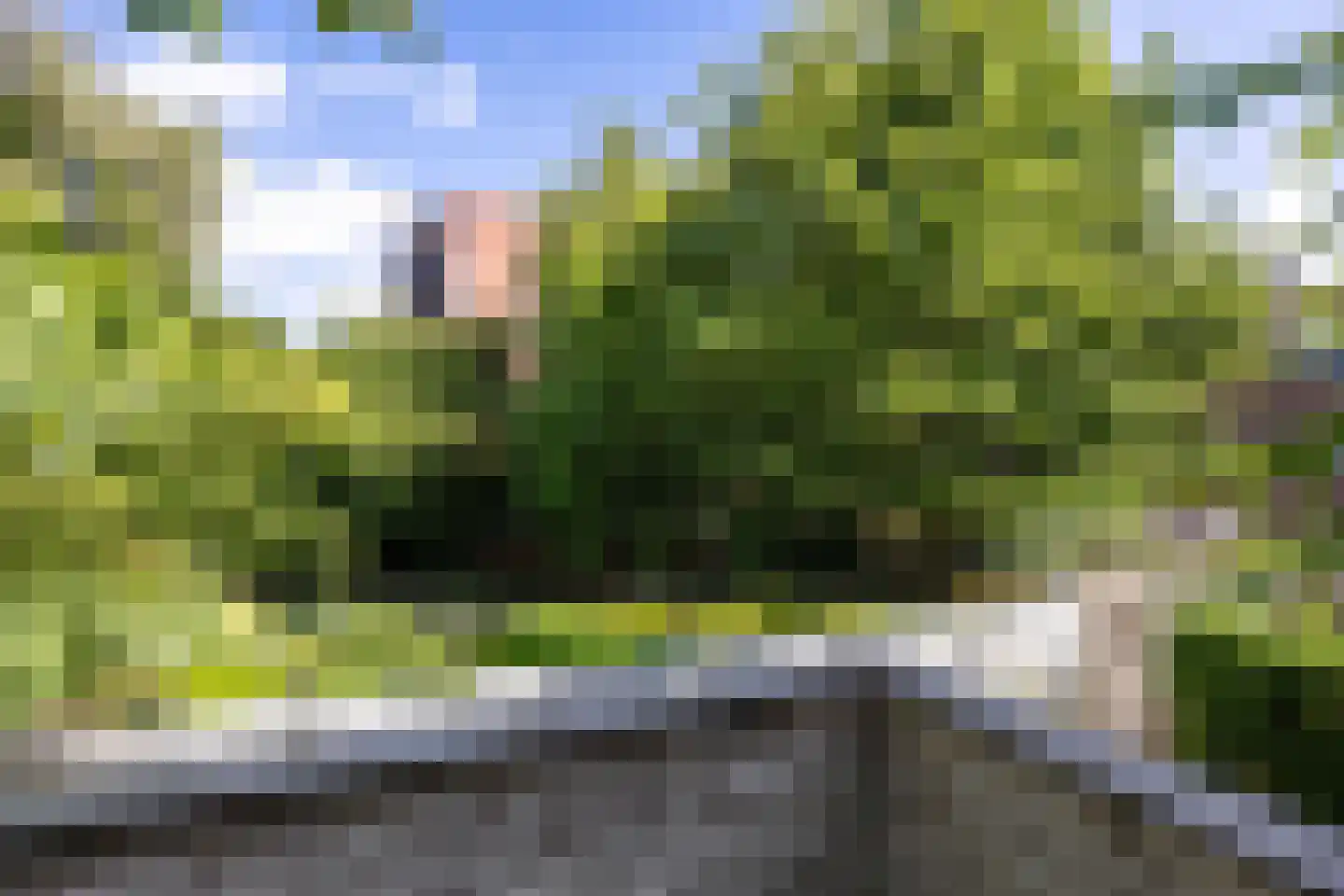 Professor Rankestraat 9 b Groningen thumbnail 16