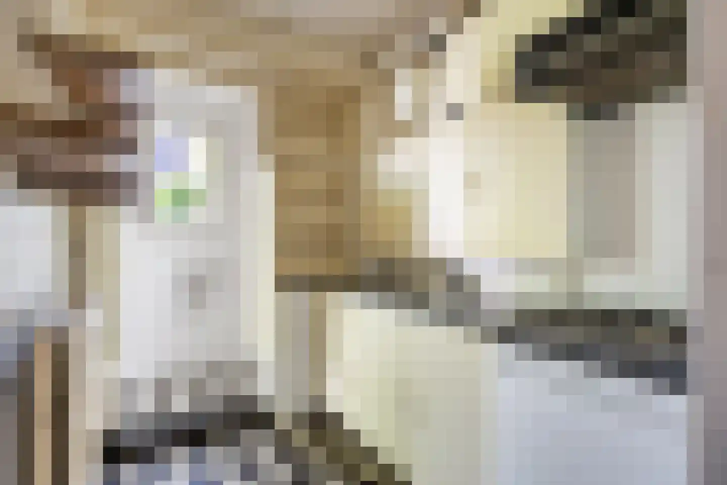 Professor Rankestraat 9 b Groningen thumbnail 20