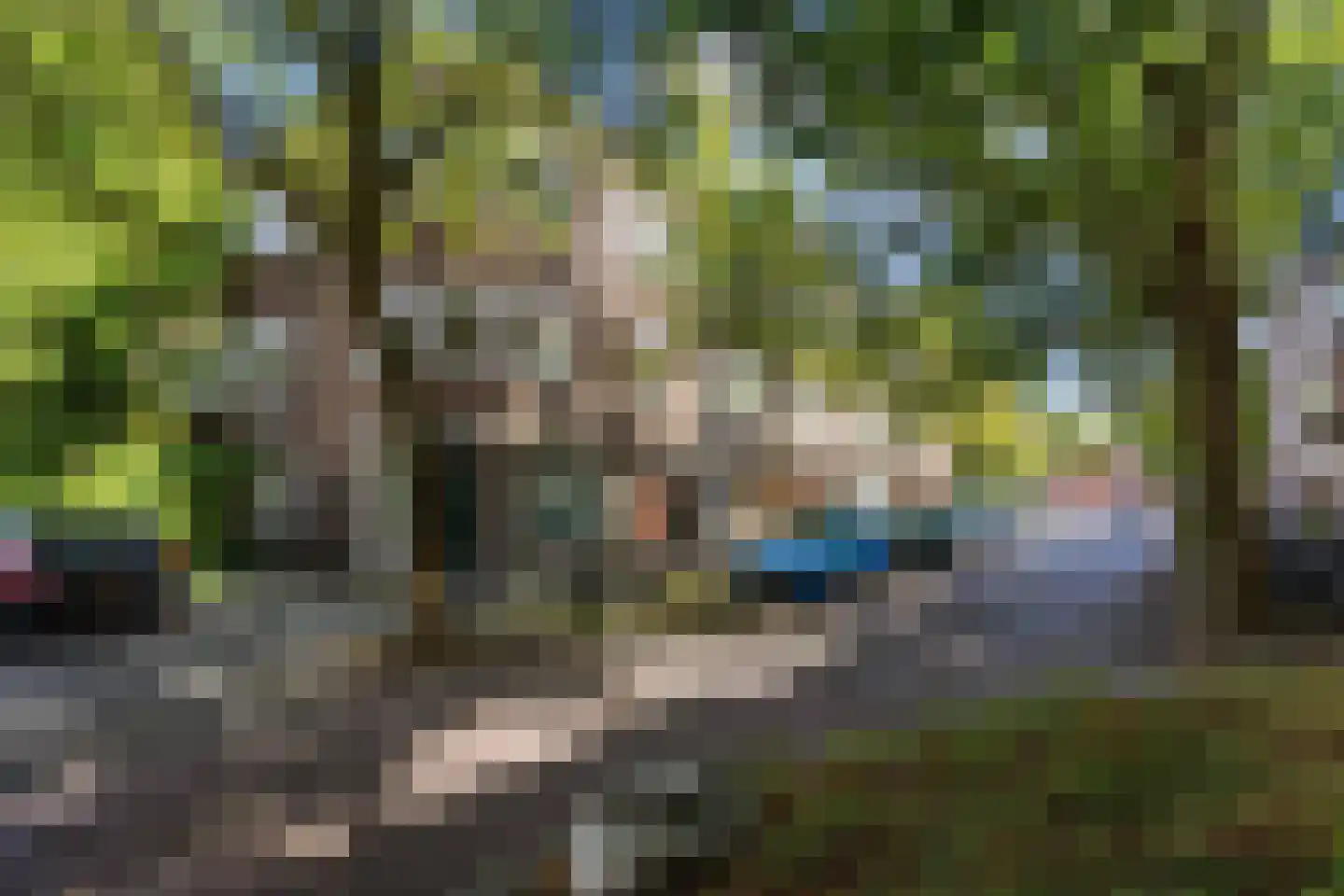 Professor Rankestraat 9 b Groningen thumbnail 27
