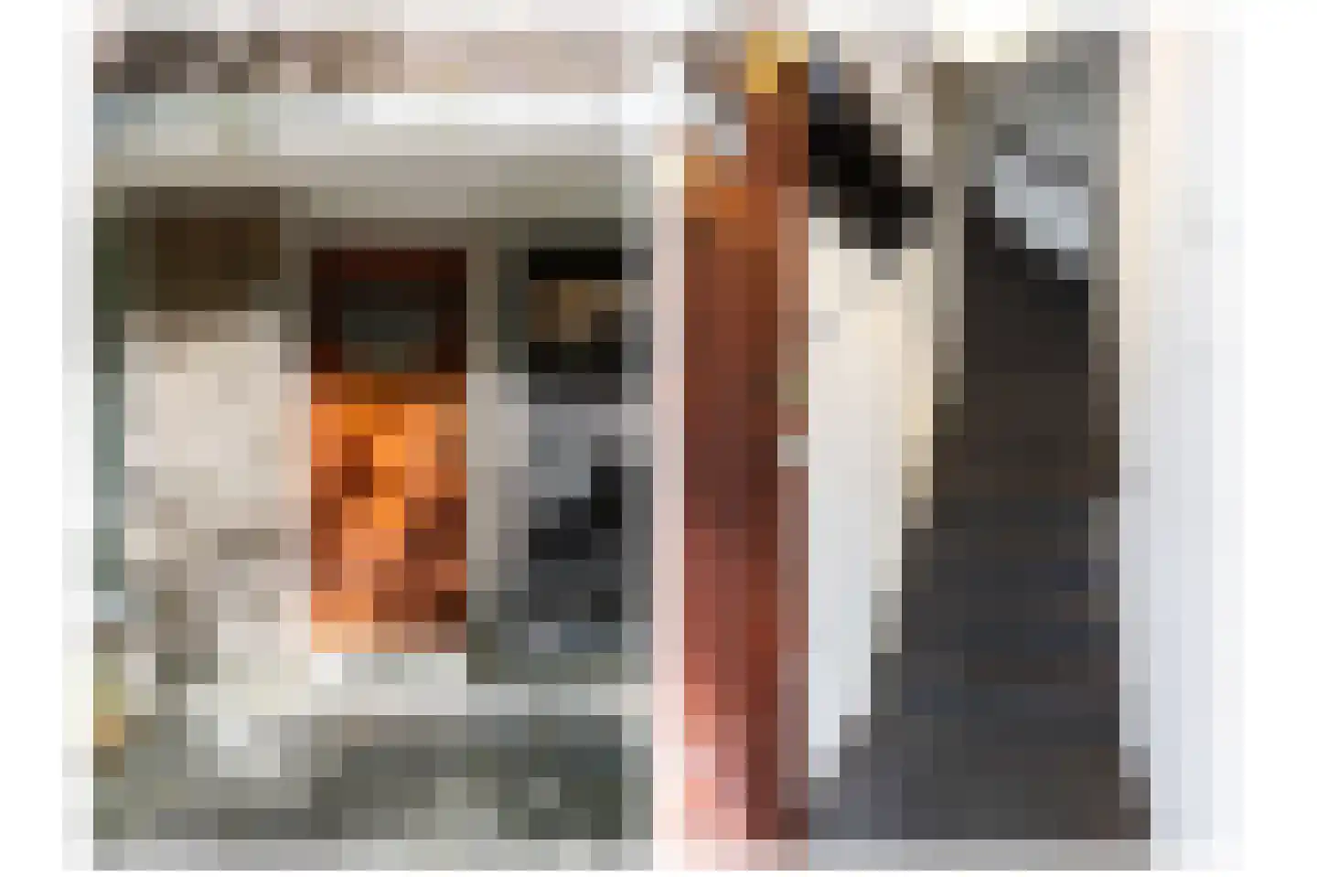 Professor Rankestraat 9 b Groningen thumbnail 8