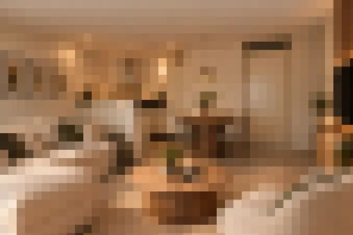 Professor Regoutstraat 68 A Oss thumbnail 19
