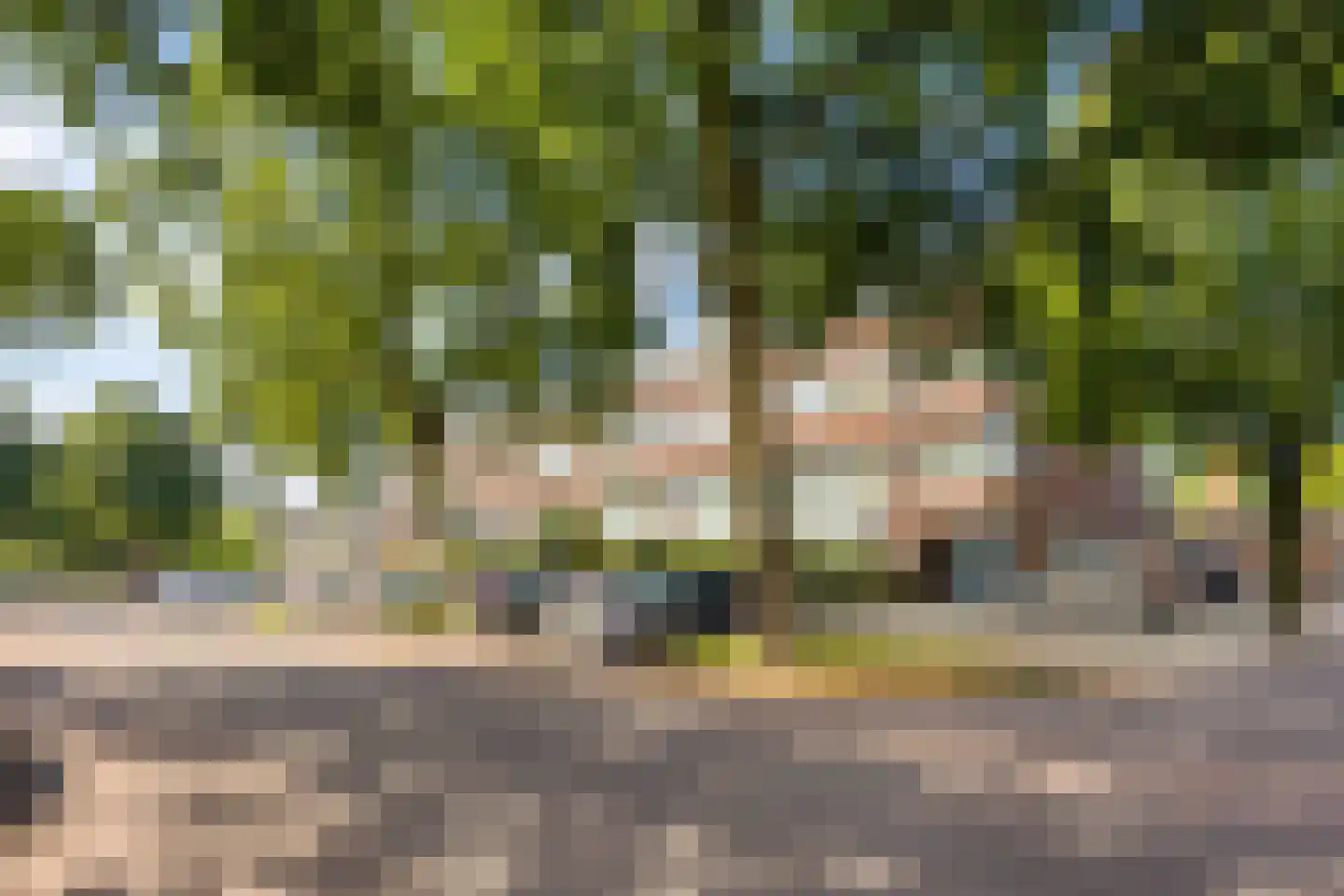 Professor Regoutstraat 68 A Oss thumbnail 6