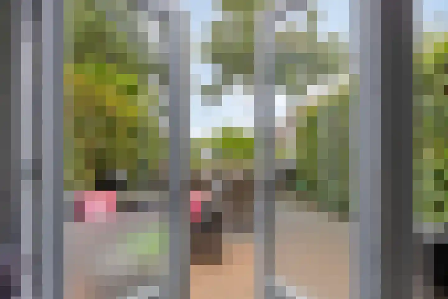 Professor Regoutstraat 68 B Oss thumbnail 6