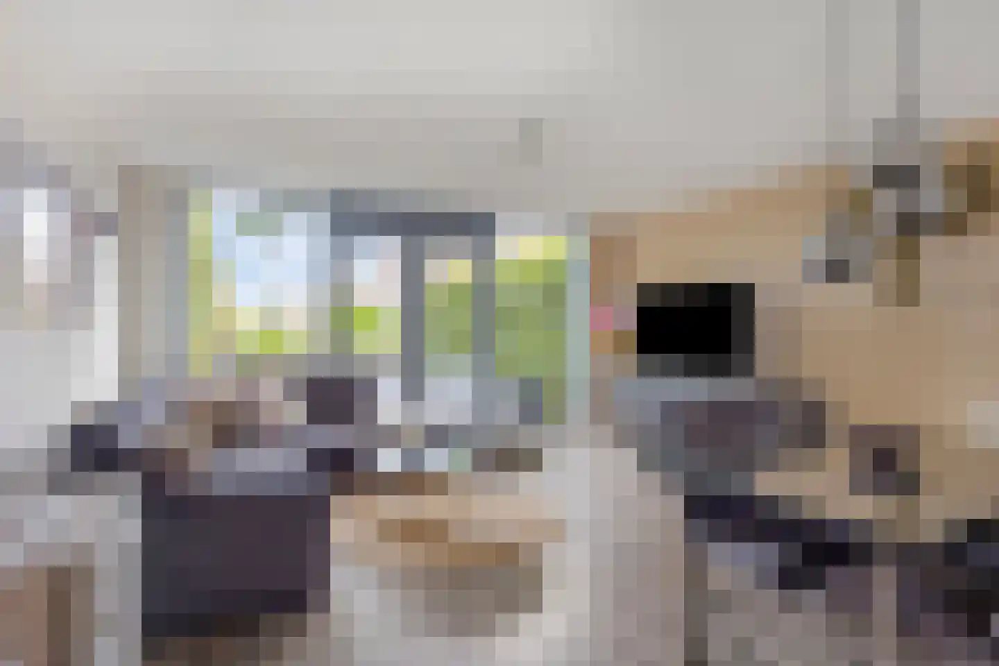 Professor Regoutstraat 68 B Oss thumbnail 7