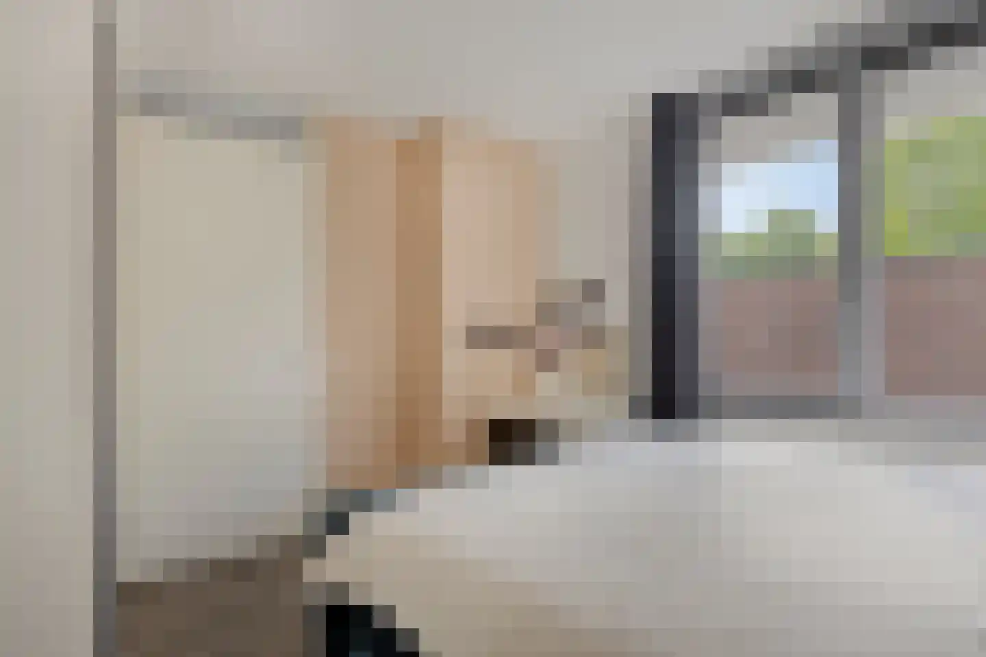 Professor Regoutstraat 68 B Oss thumbnail 9