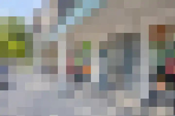 Professor Regoutstraat 7 Oss thumbnail 10