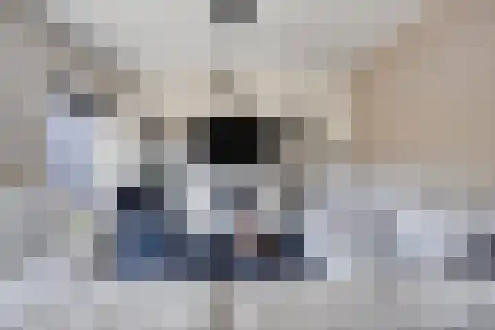 Professor Regoutstraat 7 Oss thumbnail 18