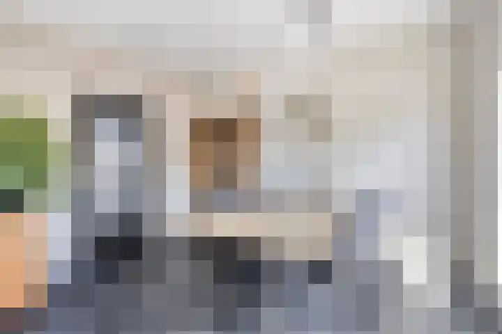 Professor Regoutstraat 7 Oss thumbnail 19