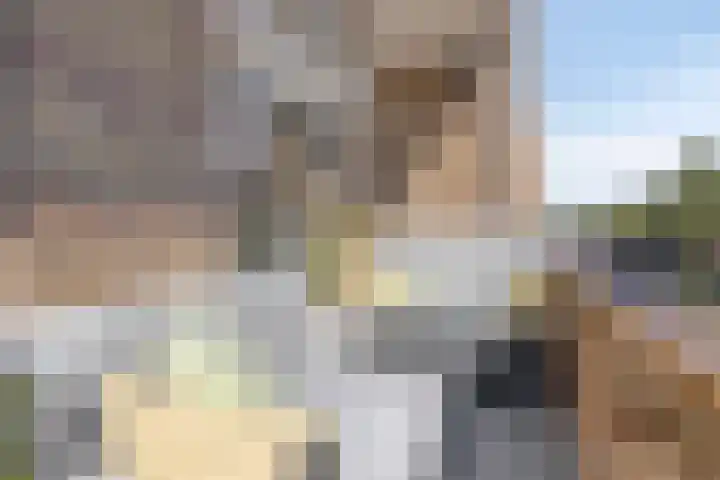 Professor Regoutstraat 7 Oss thumbnail 31