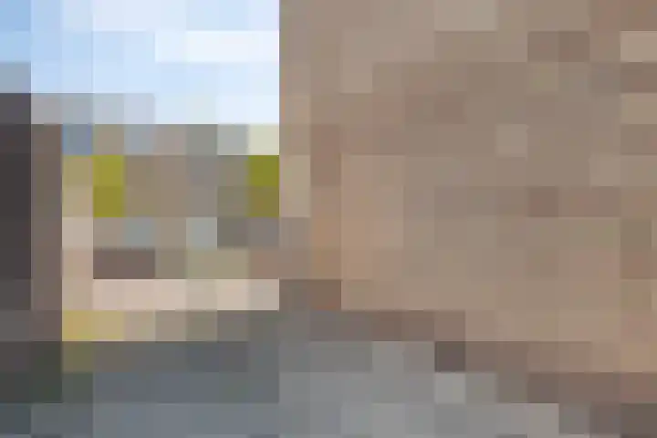 Professor Regoutstraat 7 Oss thumbnail 36