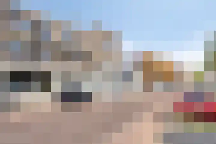 Professor Regoutstraat 7 Oss thumbnail 7
