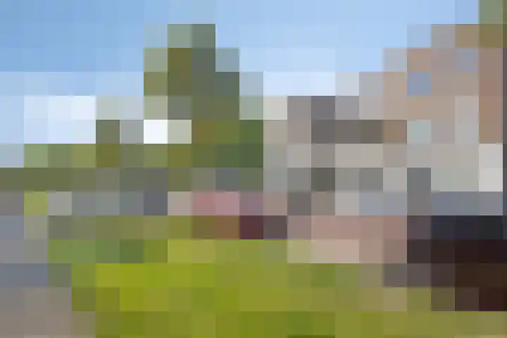 Professor Regoutstraat 7 Oss thumbnail 8