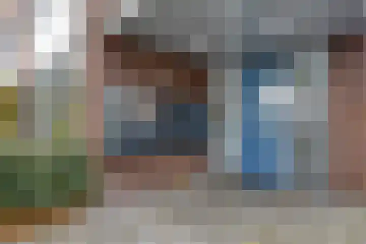 Professor Regoutstraat 72 B Oss thumbnail 21