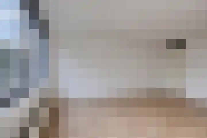 Professor Regoutstraat 72 B Oss thumbnail 8
