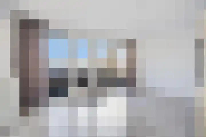 Professor Regoutstraat 74 C Oss thumbnail 16