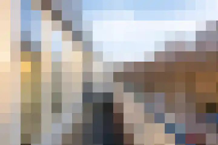 Professor Regoutstraat 74 C Oss thumbnail 17