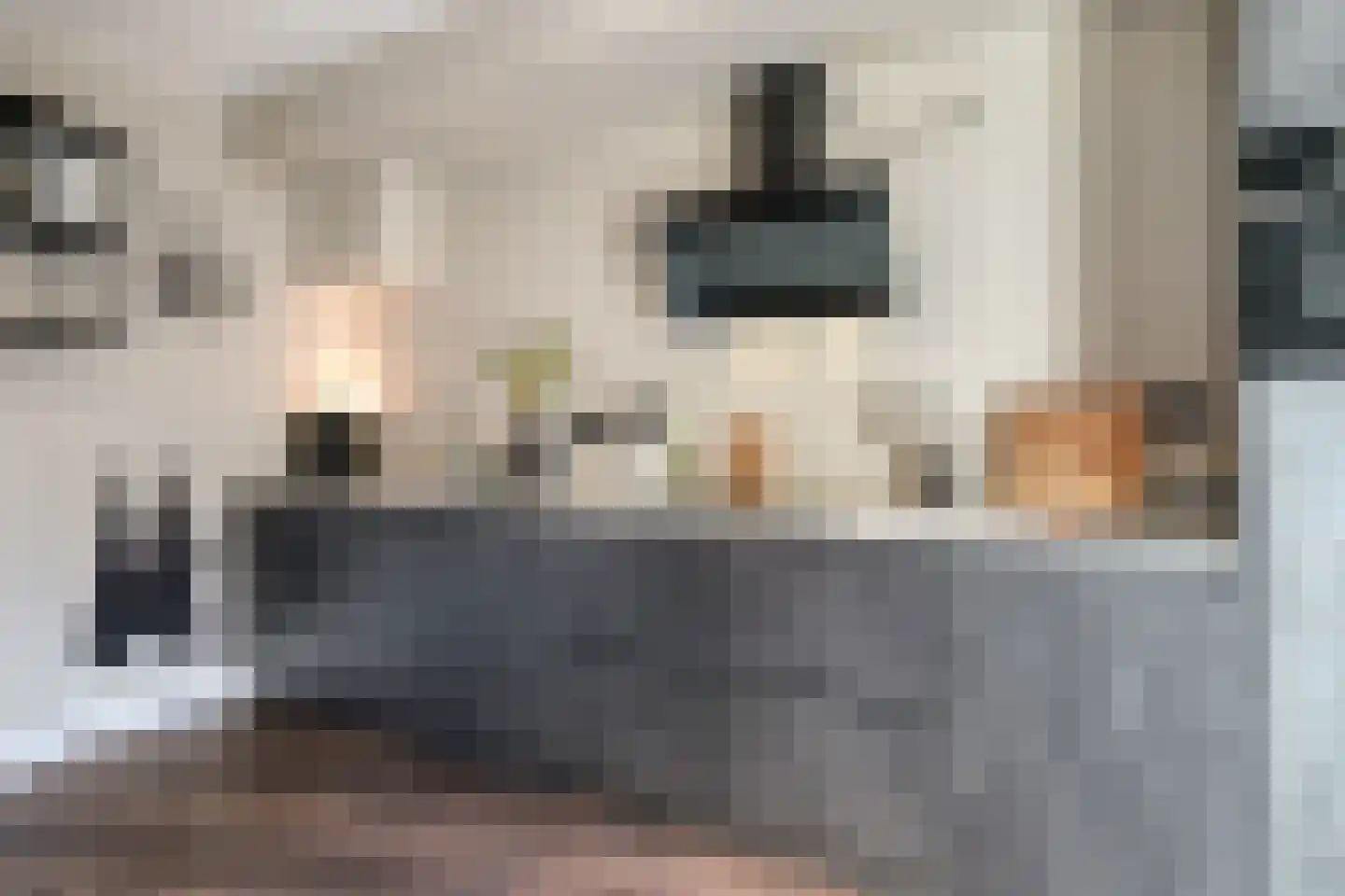 Professor Regoutstraat 9 Oss thumbnail 21