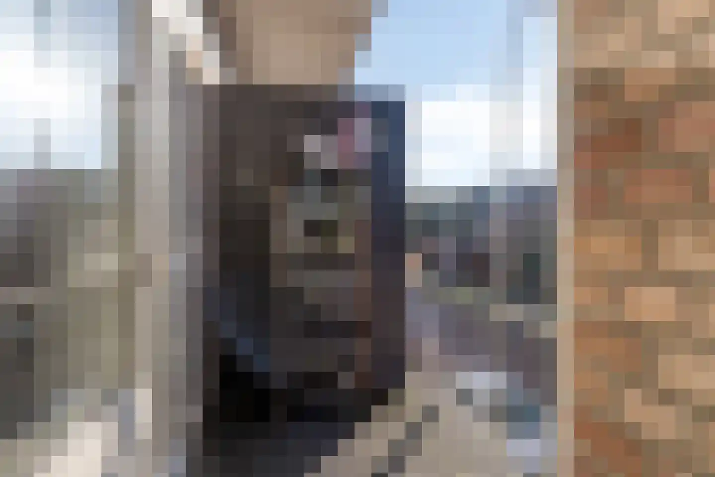 Professor Regoutstraat 9 Oss thumbnail 23