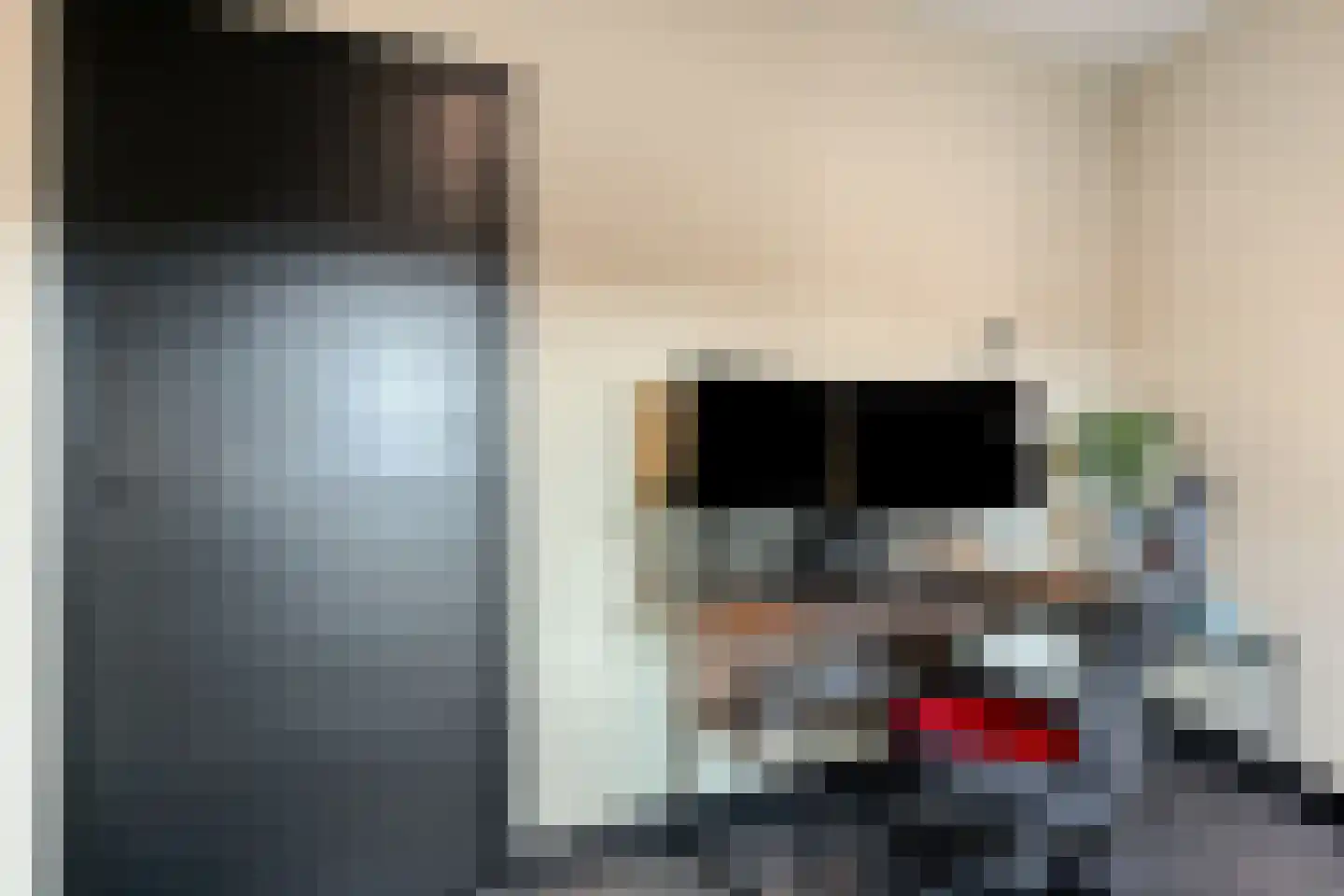 Professor Regoutstraat 9 Oss thumbnail 30