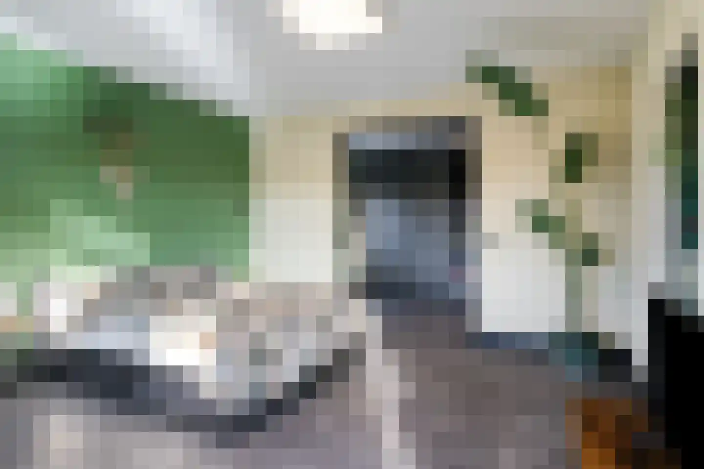 Professor Regoutstraat 9 Oss thumbnail 5