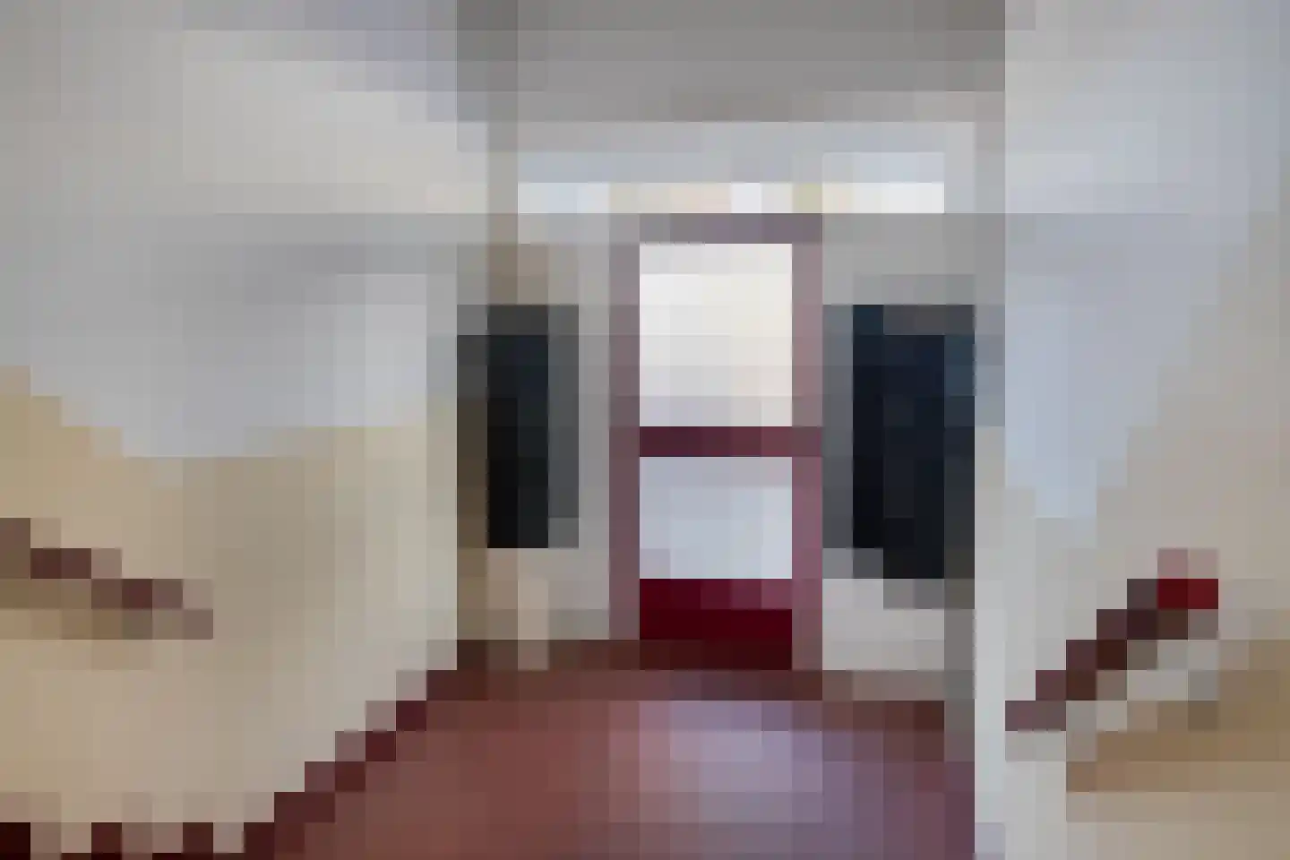 Professor Regoutstraat 9 Oss thumbnail 8